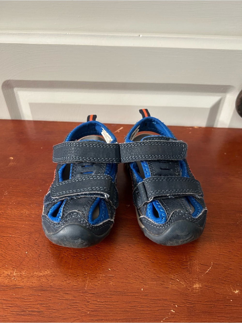 Toddler 7 Navy and Blue Active Sandal